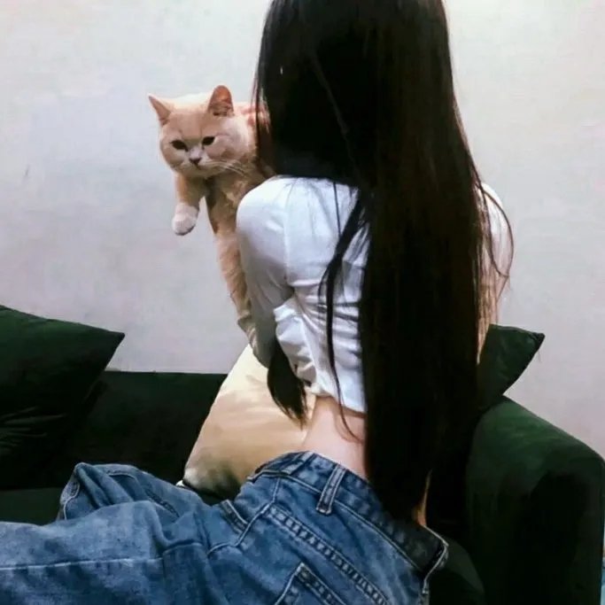香港女伯爵